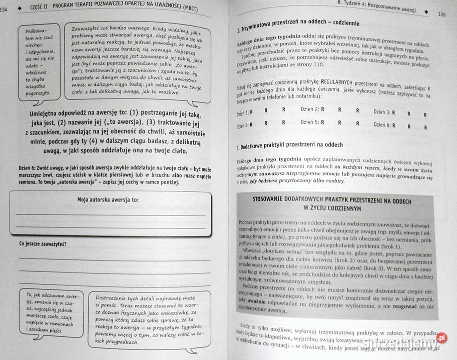 Praktyka uważności J Teasdale M Williams S Segal miękka Chełm