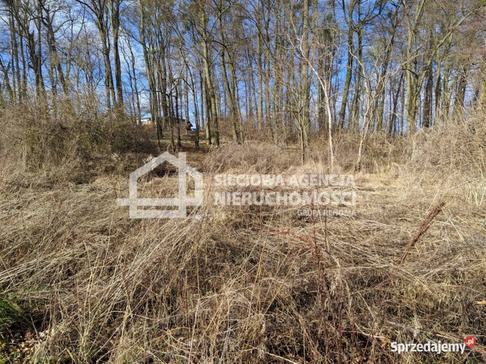 Ogłoszenie grunt 3205m2 Lublewo Gdańskie inwestycyjna