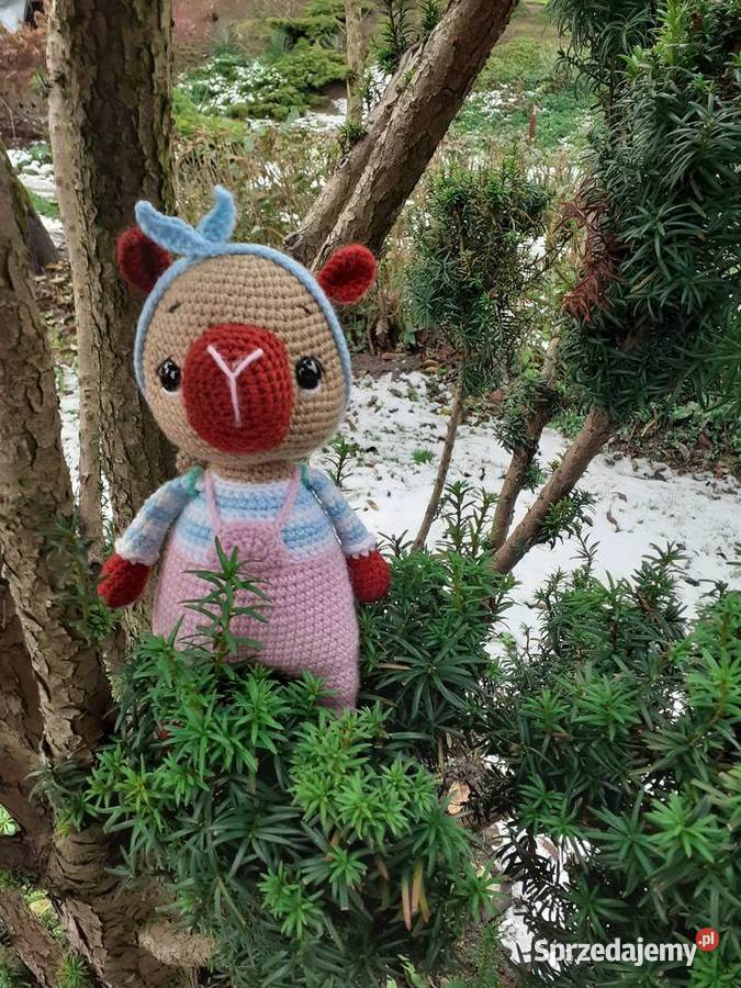 Kapibara na szydełku Nakło nad Notecią