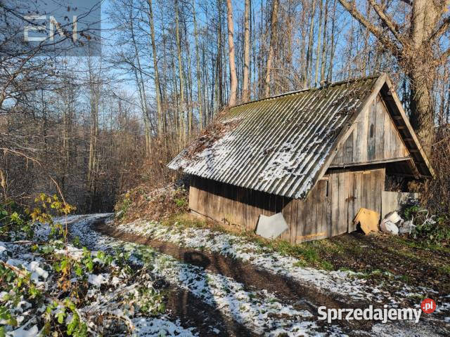 sprzedaży gruntu 6000m2 Babica Sprzedaż