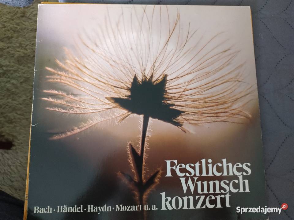 Płyty winylowe płyta winylowa Żory