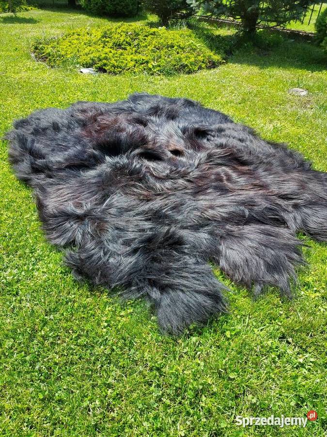 Skóry Owcze na Kanapę Czarne Skóry Naturalne Szaflary
