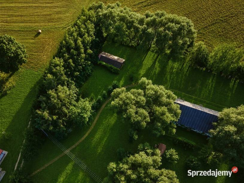 Działka Działka na Mazurach z warunkami zabudowy 45zł/m2 warmińsko-mazurskie Gąsiorowo sprzedam