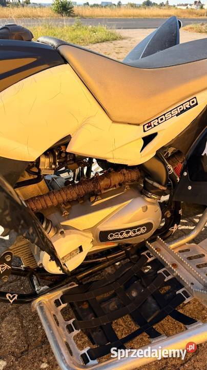 Aeon cobra 400 Sosnowica