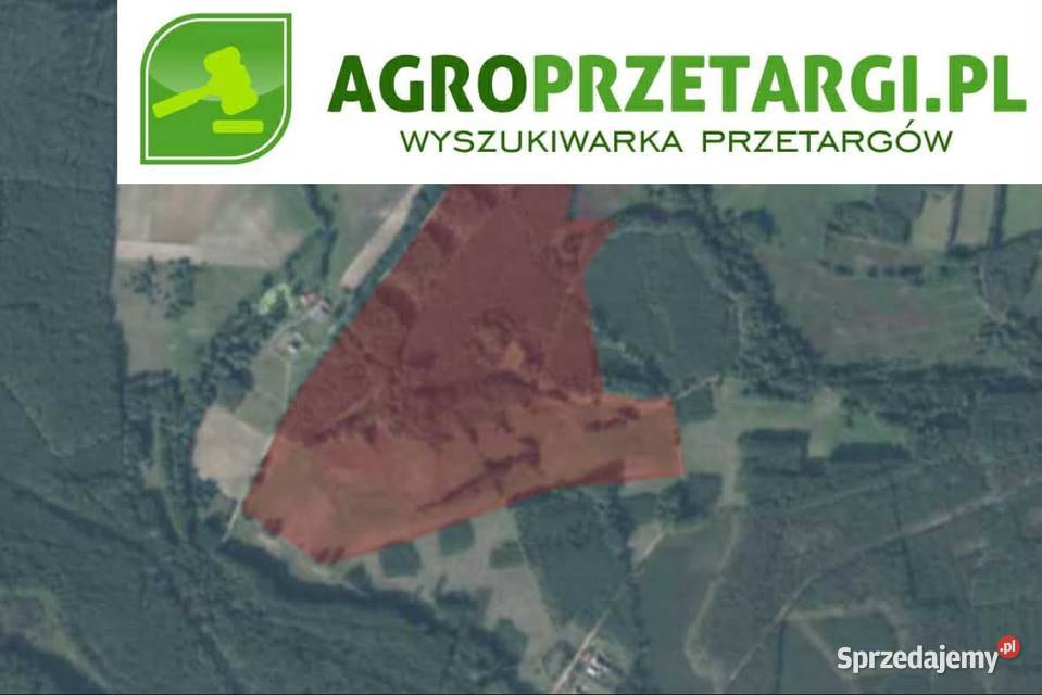 Dzierżawa 1255 ha gruntu rolnego Drezdenko sprzedam