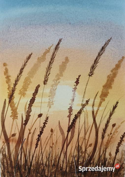 Oryginalna Akwarela Łąka 3 Unikat Sygnowany Poznań