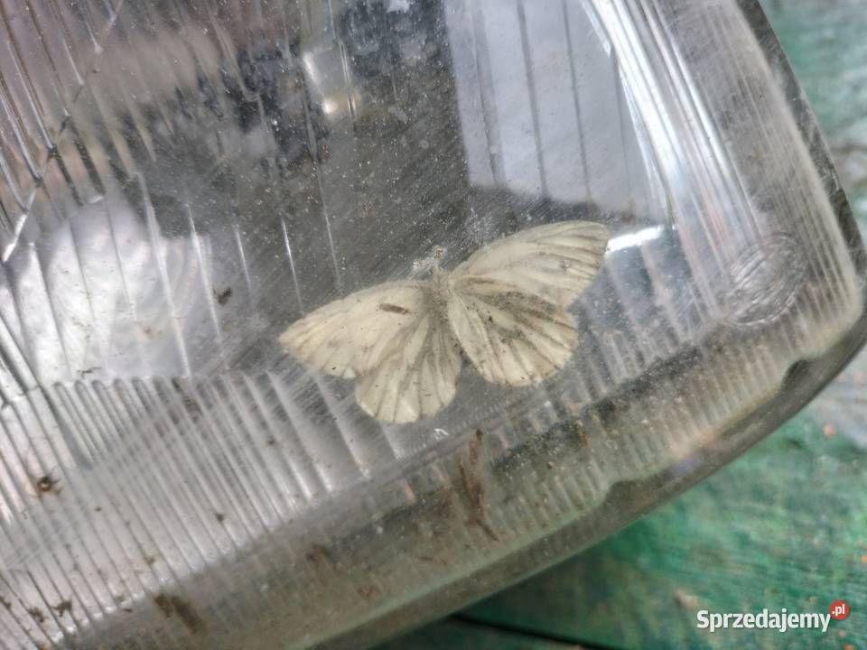 lampa przód vw golf 3 Kamień-Kolonia