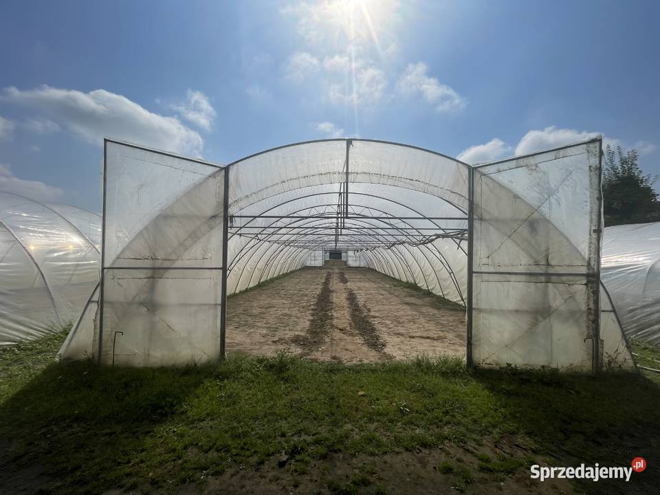 Tunel foliowy WZMACNIANY wymiary 30m x 76m x 3m Igołomia