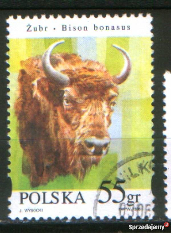 Zn 3481 kas 1996 Gliwice sprzedam