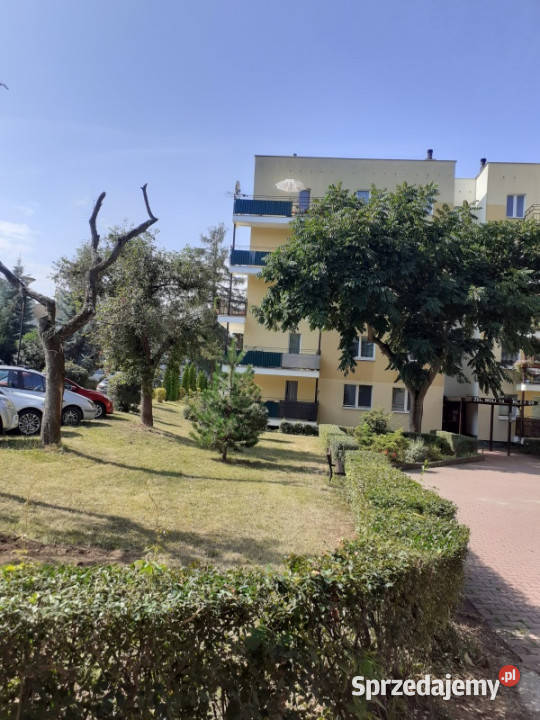 Sloneczne 3 pokojowe mieszkanie na Czechowie