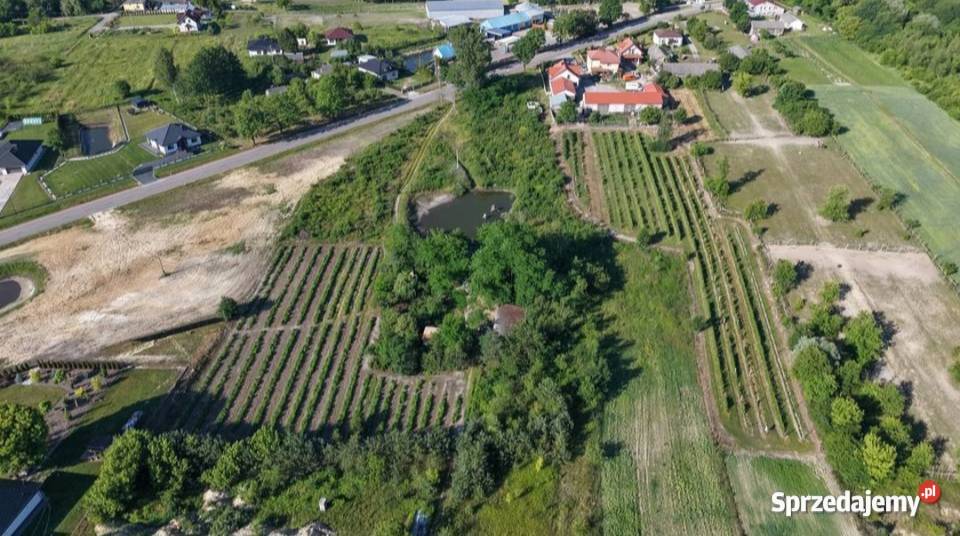 Działka pod zabudowę Przytyki 16