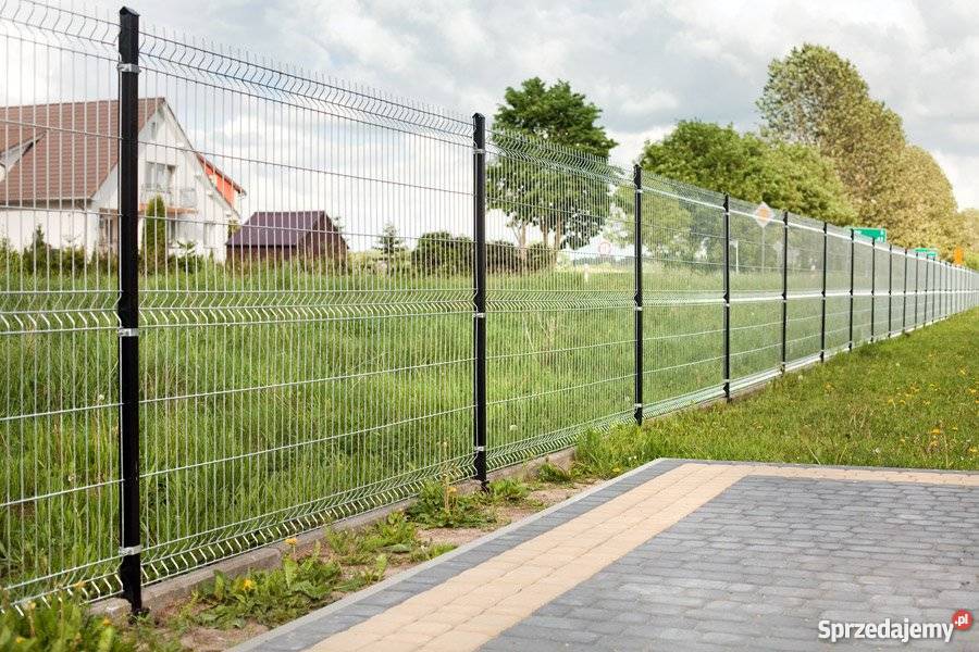 Wykonam Ogrodzenie fachowomalowanie ogrodzen a Sztum