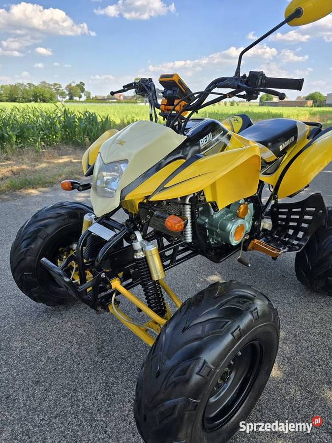Quad Bashan 200250cc Duża Rama 41R Ciecz Kruszwica