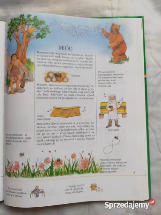 O czym wiedzieć E Bussolati Siedlce