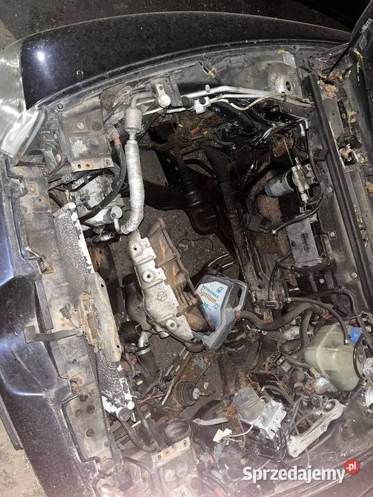 Alfa Romeo 166 24 jtd 360000km kujawsko-pomorskie Redecz Wielki-Parcele