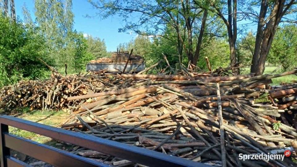 Sprzedam drewno dąb sosna brzoza Tarnobrzeg sprzedam
