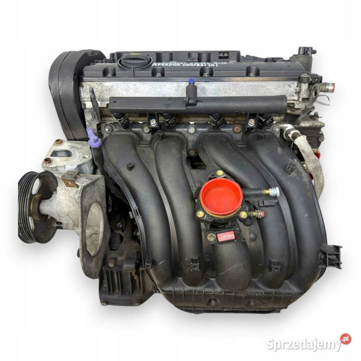 SILNIK RFN Peugeot 206 307 407 Expert Citroen C4 lubelskie