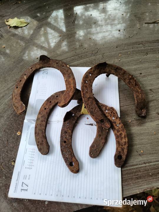 Podkowa pełna szczęścia Kalisz