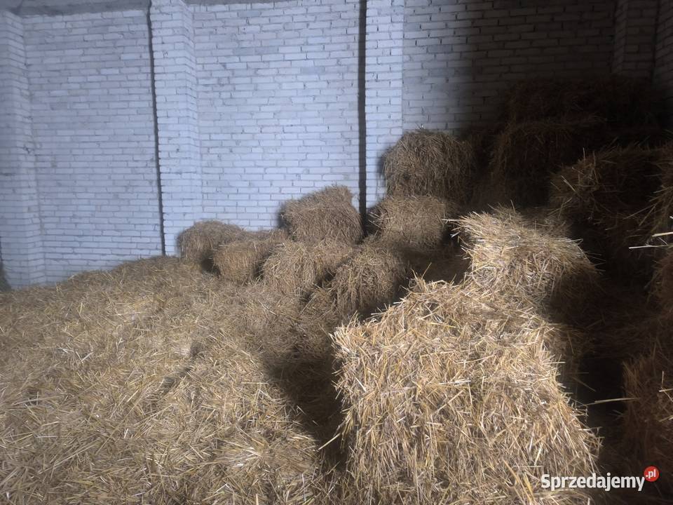 Słoma w kostkach Nasielsk sprzedam