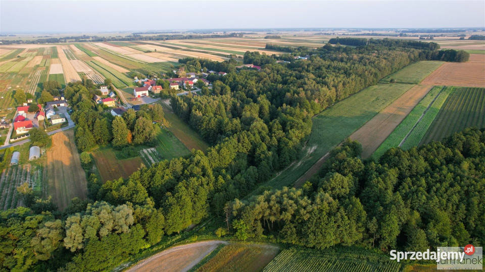 Działka Rakówka 22400m2 Sprzedaż sprzedam