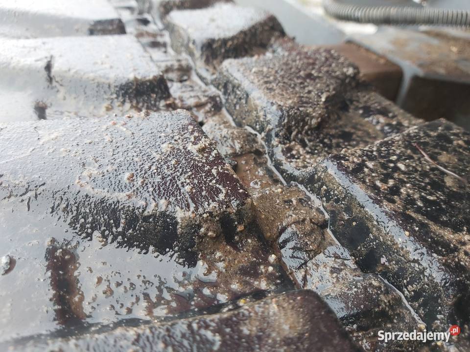 Minikoparka Takeuchi TB 216 prod 2015 Jabłonowo Pomorskie