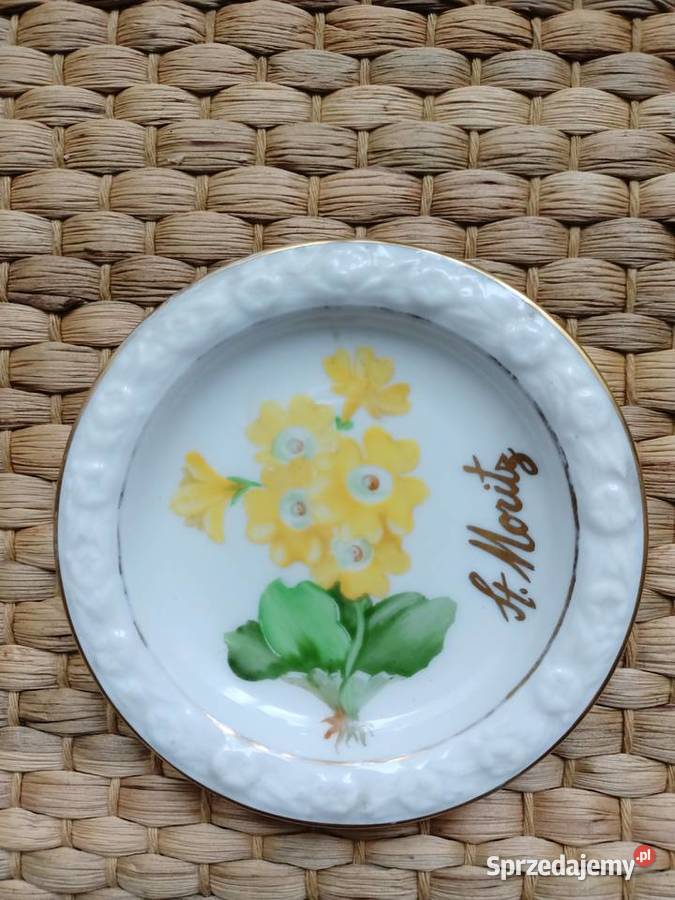 Rosenthal Biała Maria talerzyk pierwiosnek małopolskie Trzebinia