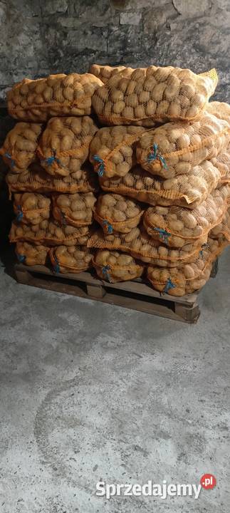 Ziemniaki Soraya Izdebnik