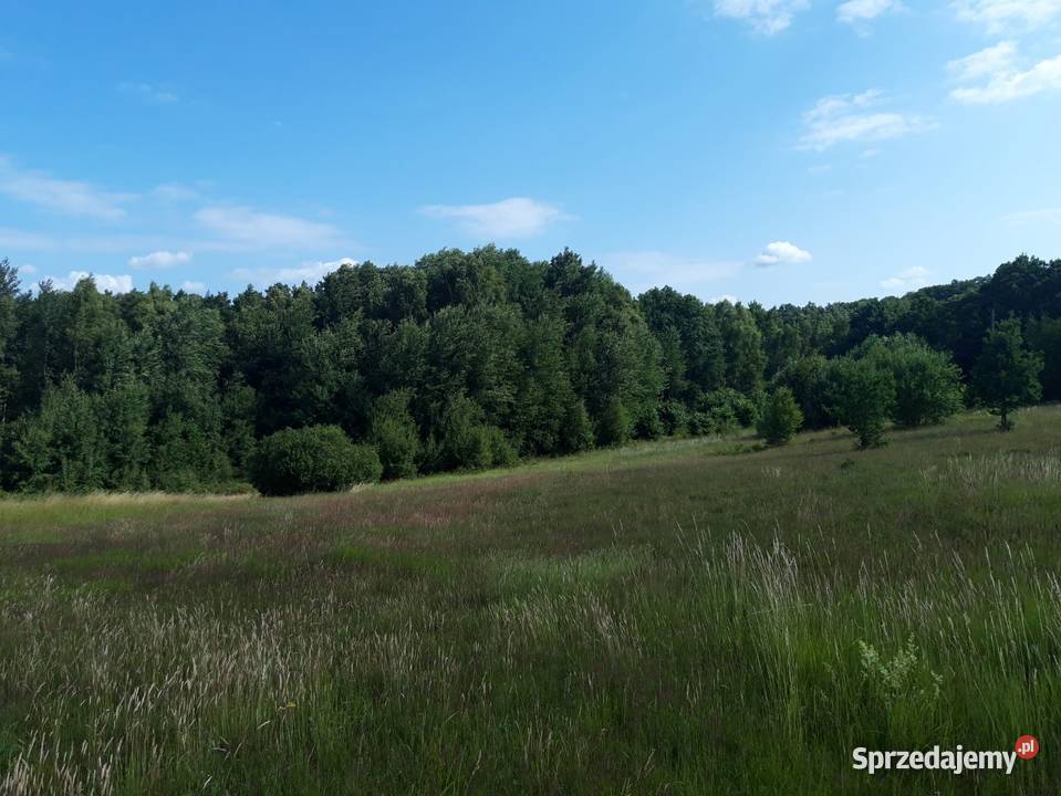 Działka budowlana z dostępem do jeziorka