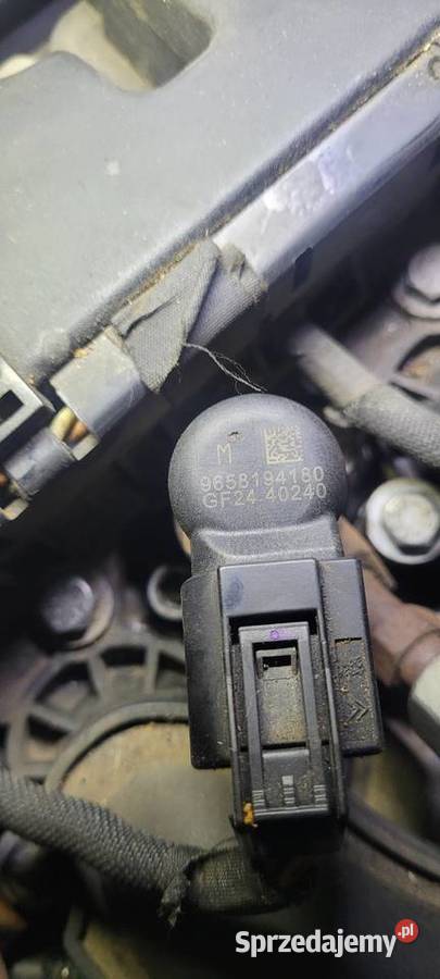 Silnik Citroen C4 Picasso Rok produkcji 2007 Legnica sprzedam