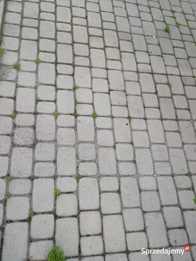 Kostka brukowa betonowa szara Polbruk Nostalit Chrzanów