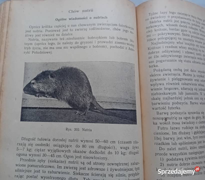 Przewodnik działkowca PWRiL 1954 r Wydanie I wielkopolskie Koźminek sprzedam