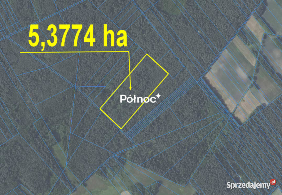 Las na sprzedaż Mokre gm Rossosz udział leśna