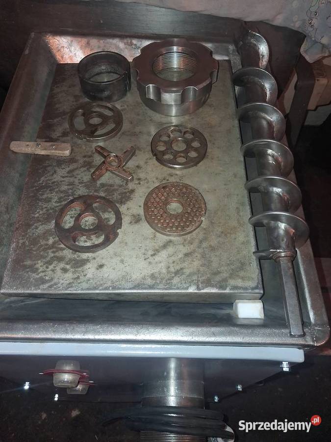 Wilk 82 miesa spomasz wielkopolskie