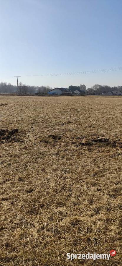 Działka budowlana kopanino 1000m2