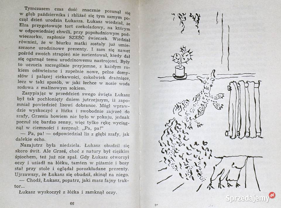 Złoty Lis Jerzy Andrzejewski twarda Chełm