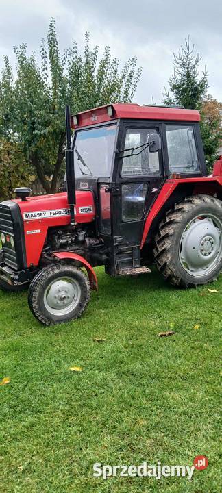 Ursus Massey Ferguson 255 MF Radzyń Podlaski