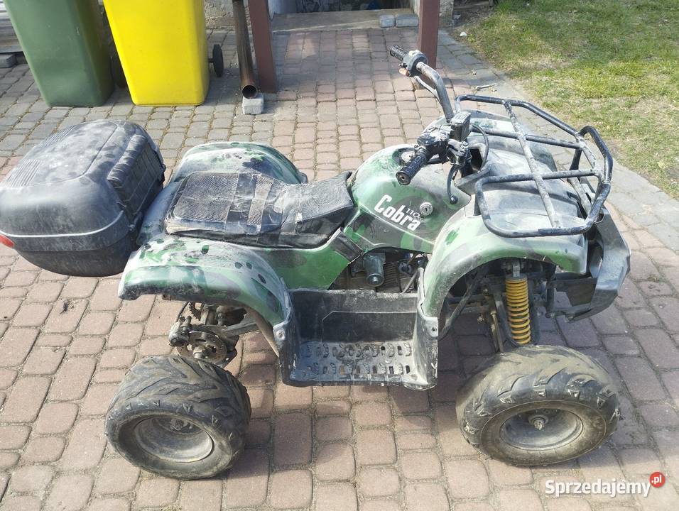 Quad Cobra 110