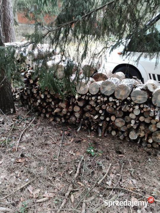 Sprzedam opał sosnowy mazowieckie Wyszków