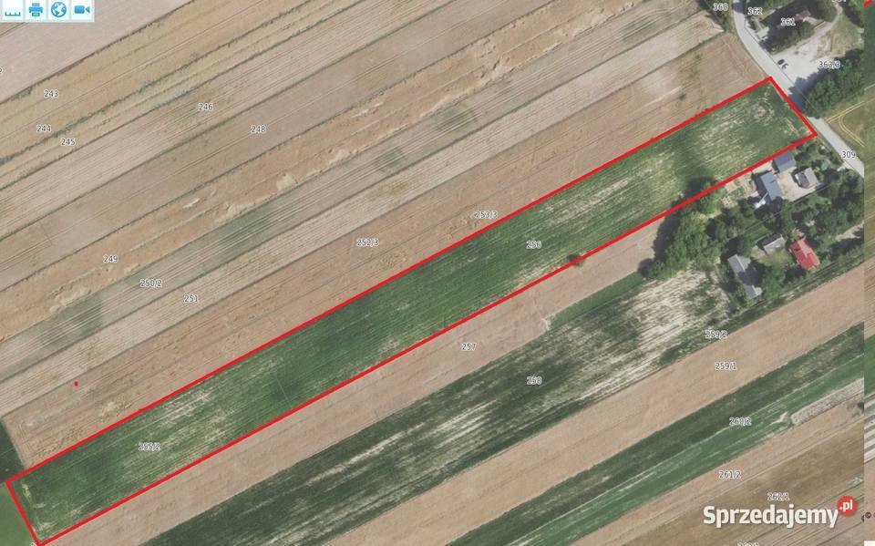 Sprzedam działki rolne 394ha StodołyWieś gm 39400m2 Sprzedaż świętokrzyskie Stodoły-Wieś