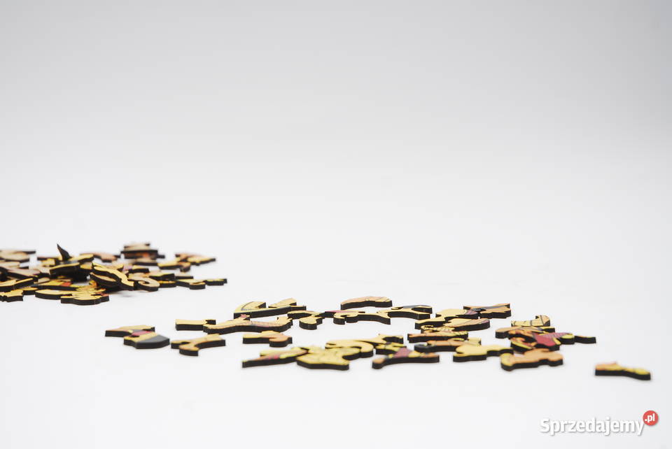 Puzzle Drewniane Premium EKO Układanka PAPUGA łódzkie Łódź