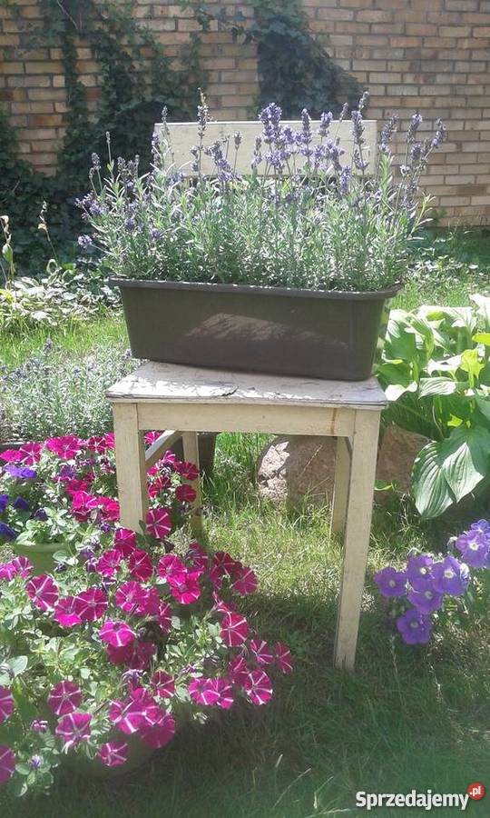 Drewniane Krzesło Kwietnik PRL Poznań