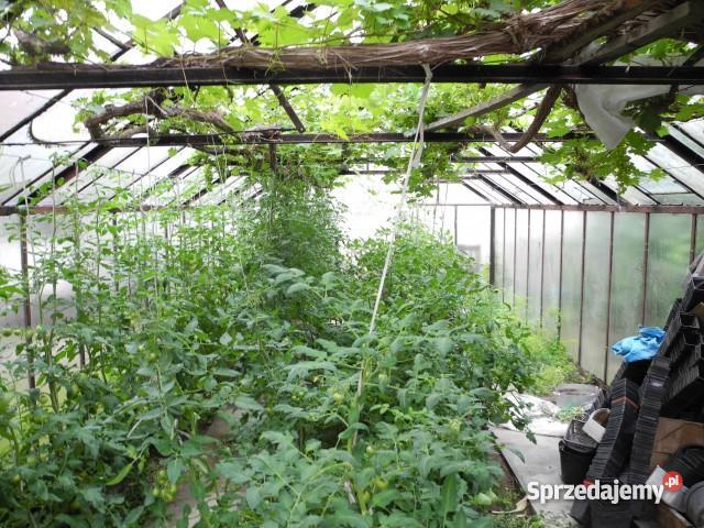 Dom Strzyżów 180m z 7 arową działką gazowe Strzyżów
