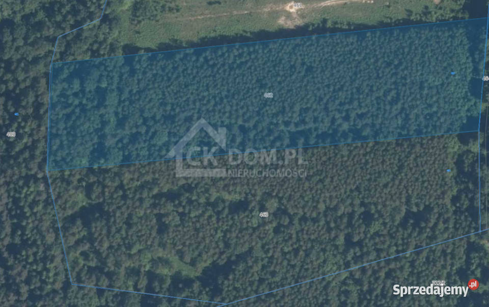 Działka inwestycyjna Cisów 22 500 m polna