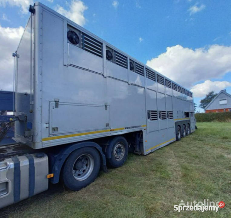 do przewozu zwierząt GrayAdams GADD3 Gray Adams śląskie Łaziska Górne