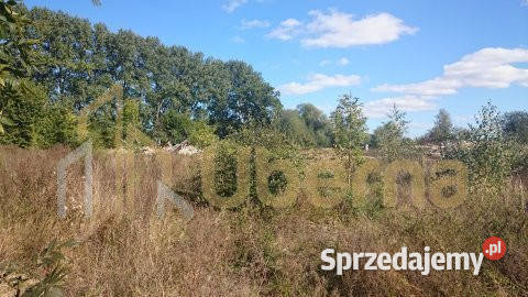 Duża działka pod agroturystykę Maszewa Sprzedaż Radzanek