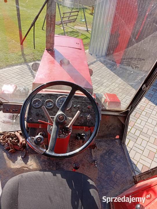 Ursus 385