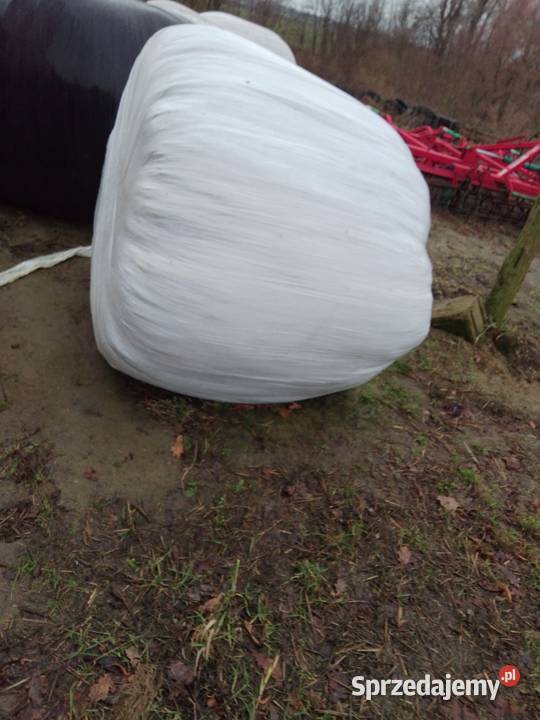 Baloty sianokiszonki Kwileń sprzedam