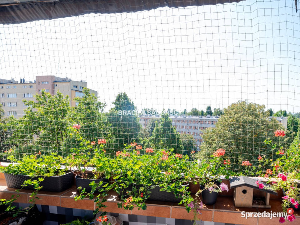 sprzedaży mieszkania Kraków 47m2 3 pokoje