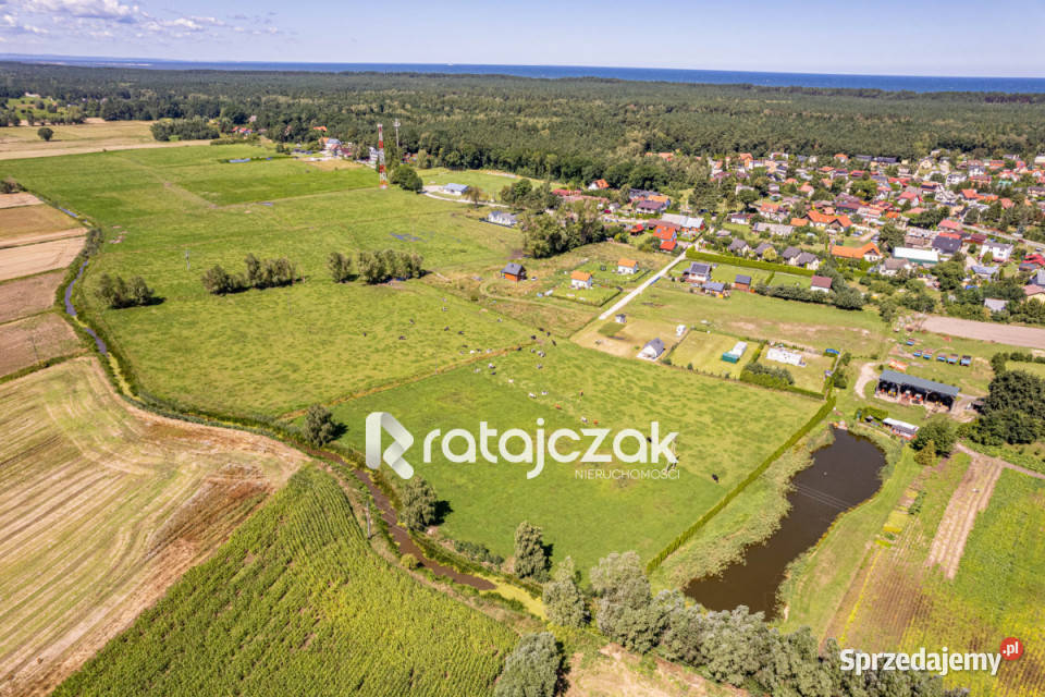 Sprzedaż gruntu 23900m Stegna