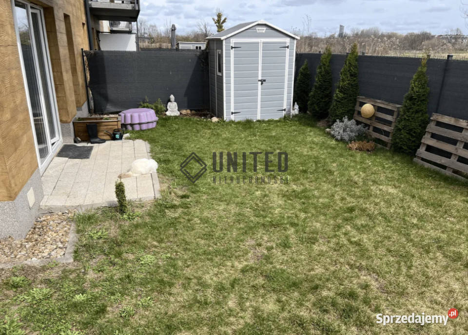 Jutrzenki dolnośląskie